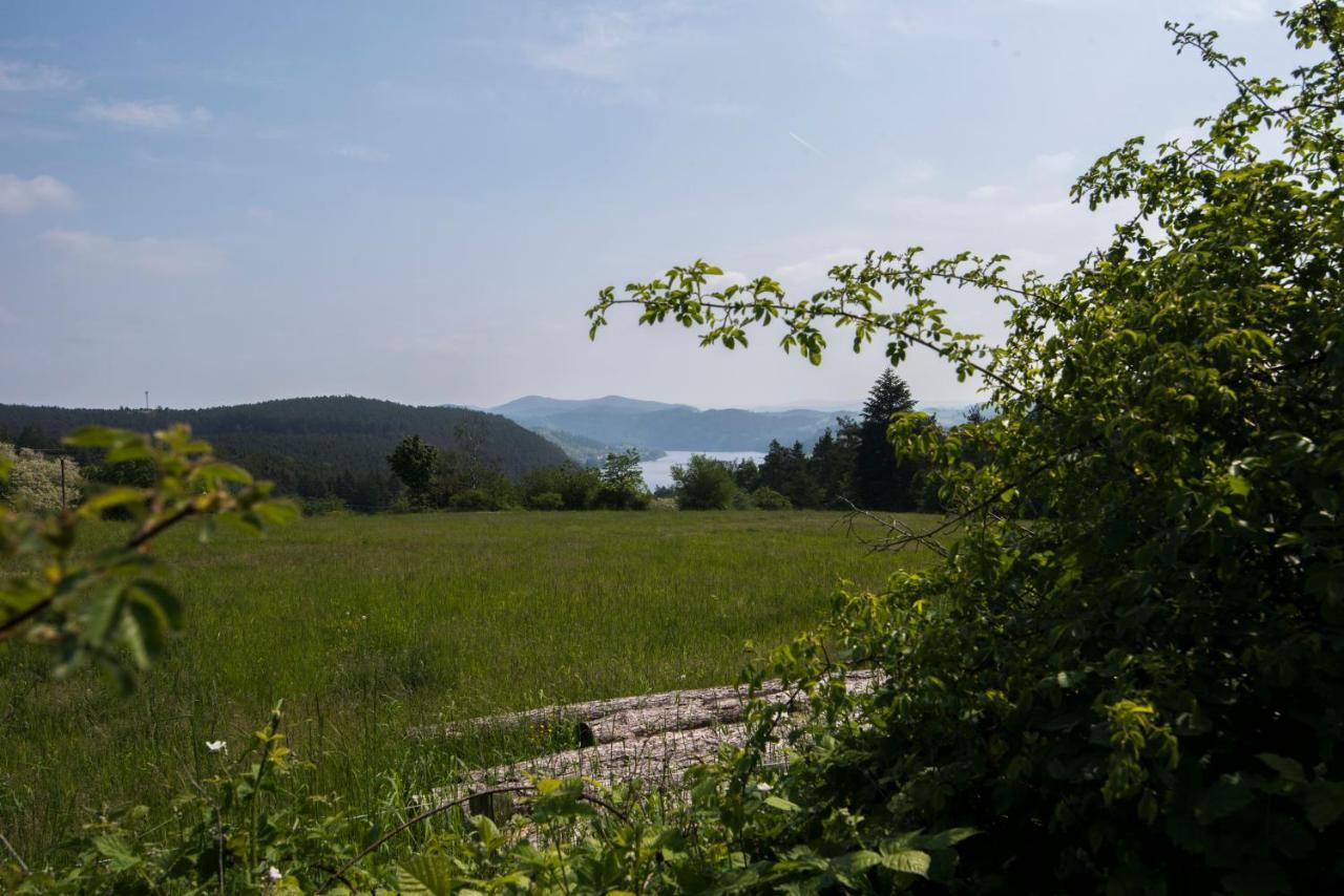 Wellness Bungalov - Vodni Nadrz Slapy - 40Km Od Prahy Necin Exterior photo
