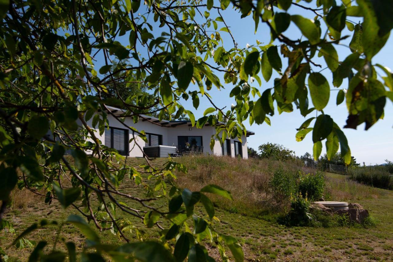 Wellness Bungalov - Vodni Nadrz Slapy - 40Km Od Prahy Necin Exterior photo